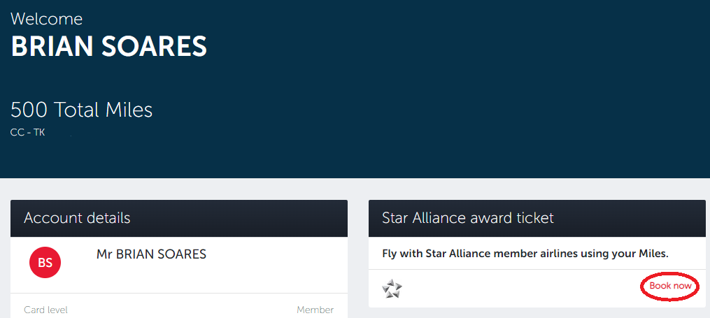 Search Star Alliance Awards with Turkish