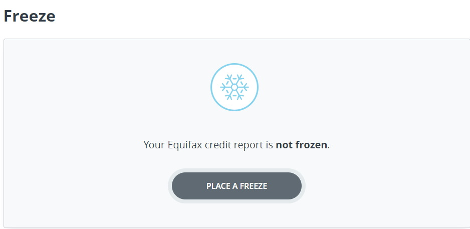 Capital One Freeze Equifax Freeze