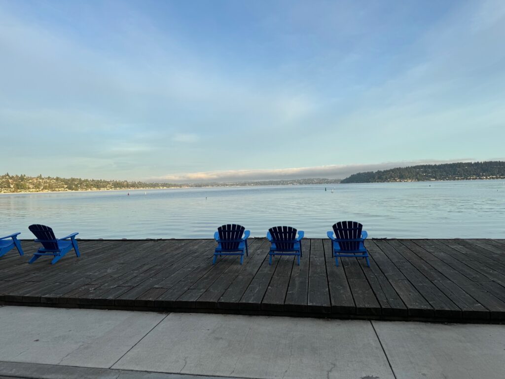 Hyatt Regency at Lake Washington at Seattle's Southport Review