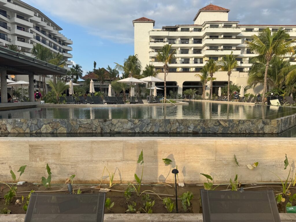 Marriott Puerto Vallarta Resort & Spa pool