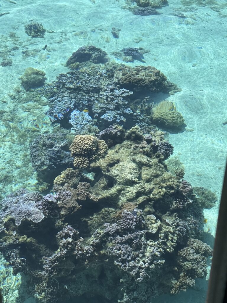 Sofitel Beach Resort Moorea