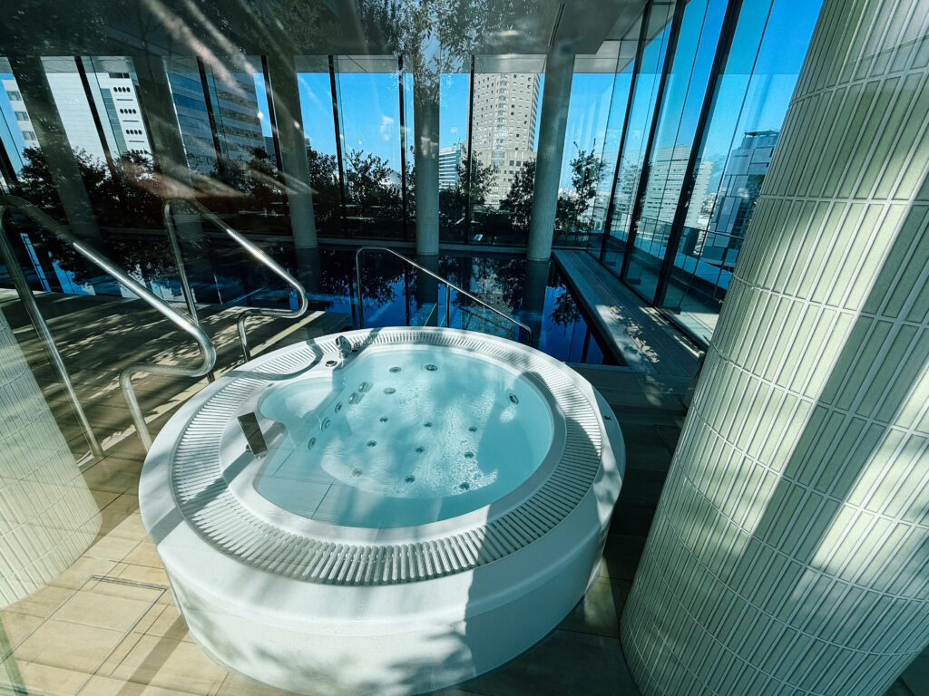Tokyo Hyatt Category 5 Hotels