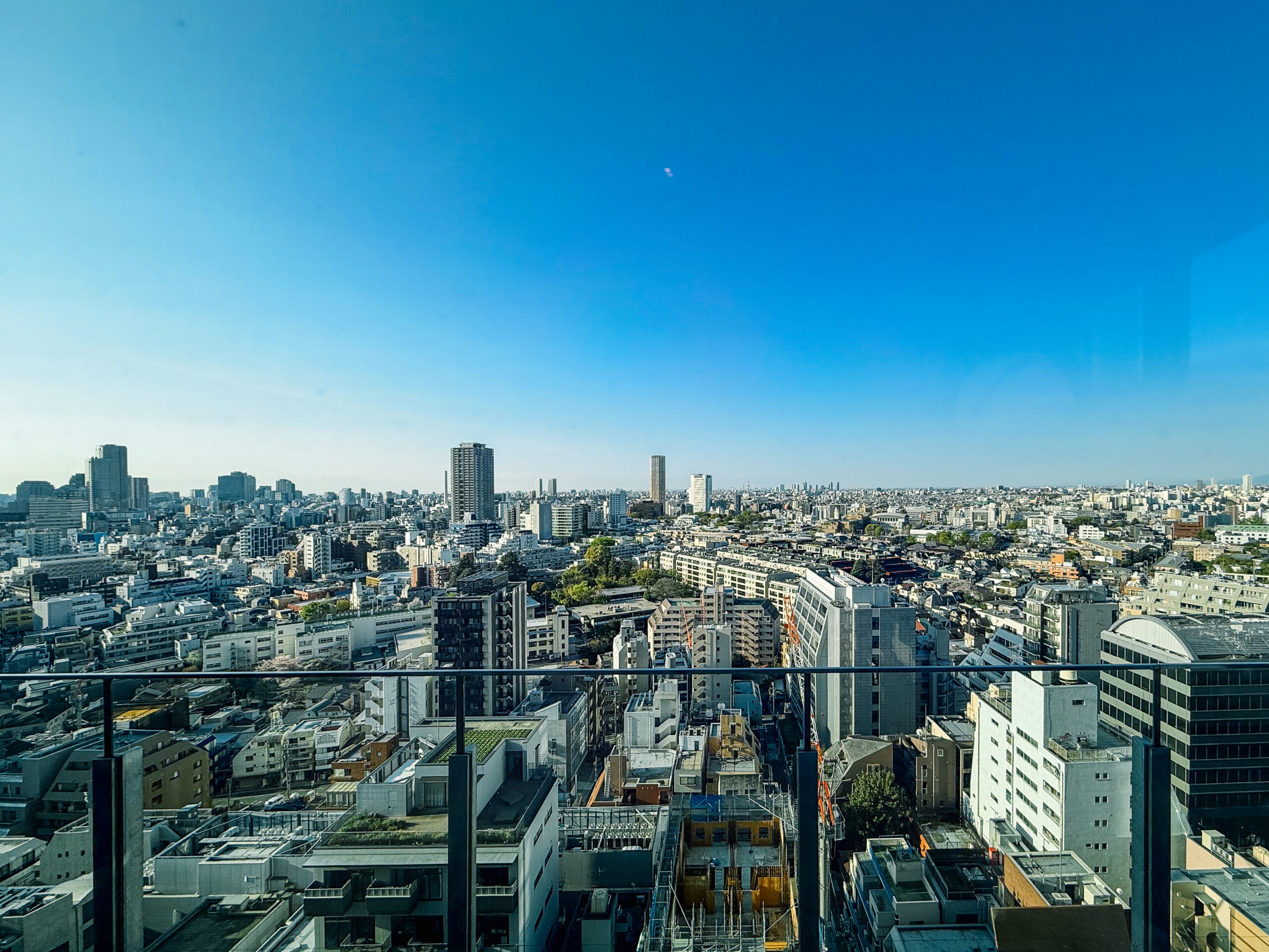 Tokyo Hyatt Category 5 Hotels