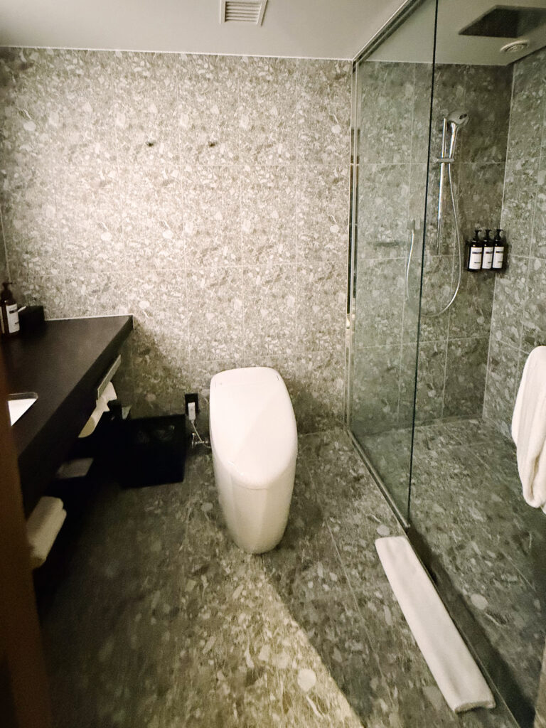 Tokyo Hyatt Category 5 Hotels