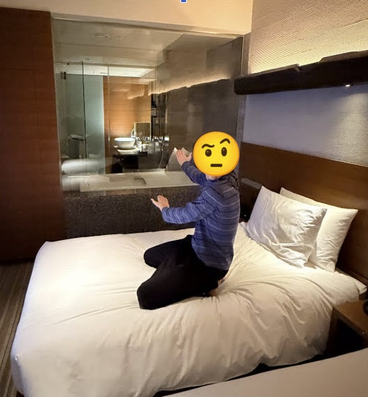 Tokyo Hyatt Category 5 Hotels