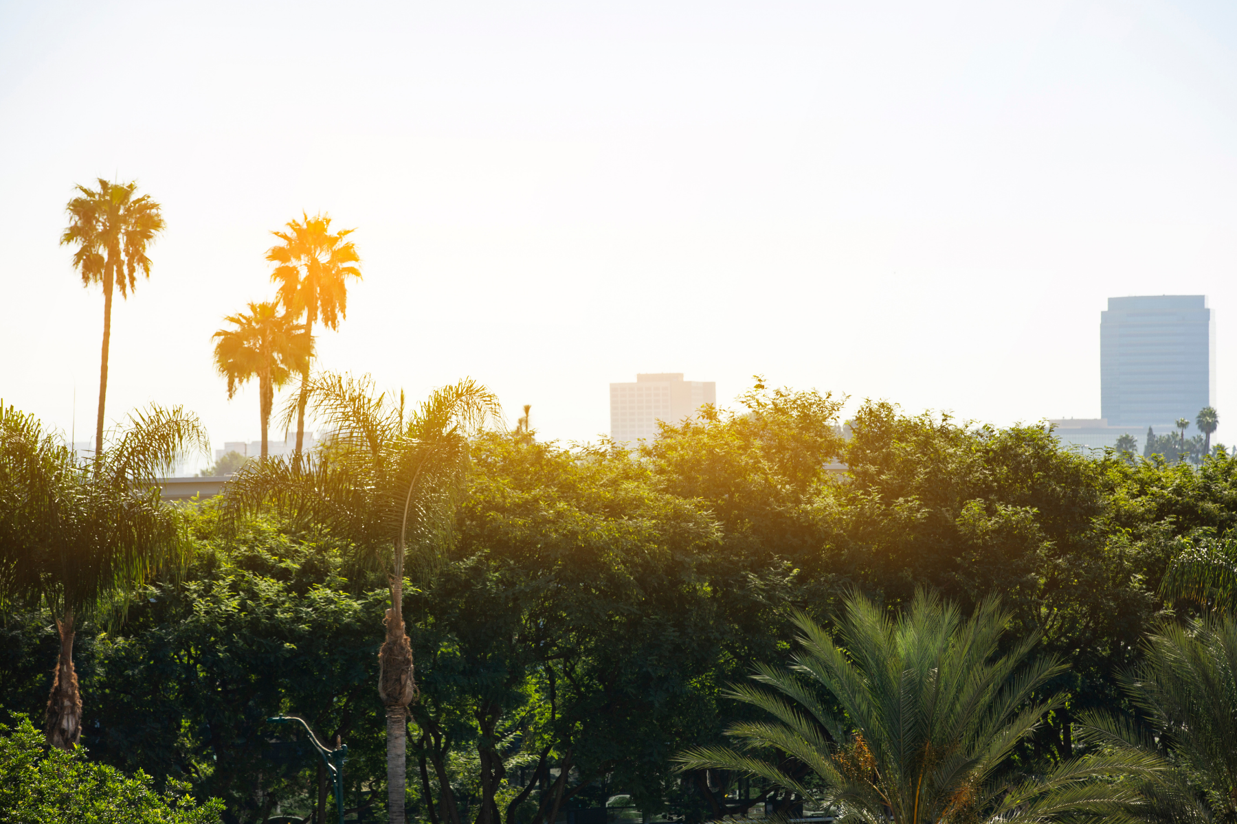 Great Wyndham Rewards Redemptions In The US