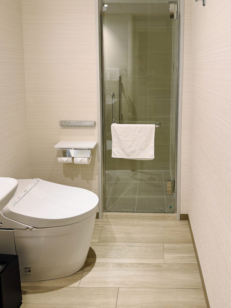Hyatt Category 3 Hotels In Osaka and Kyoto