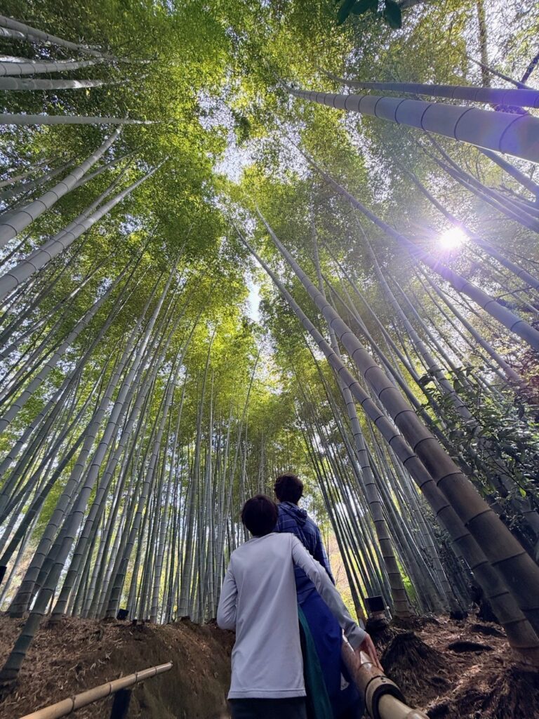 Hyatt Category 3 Hotels In Osaka and Kyoto
