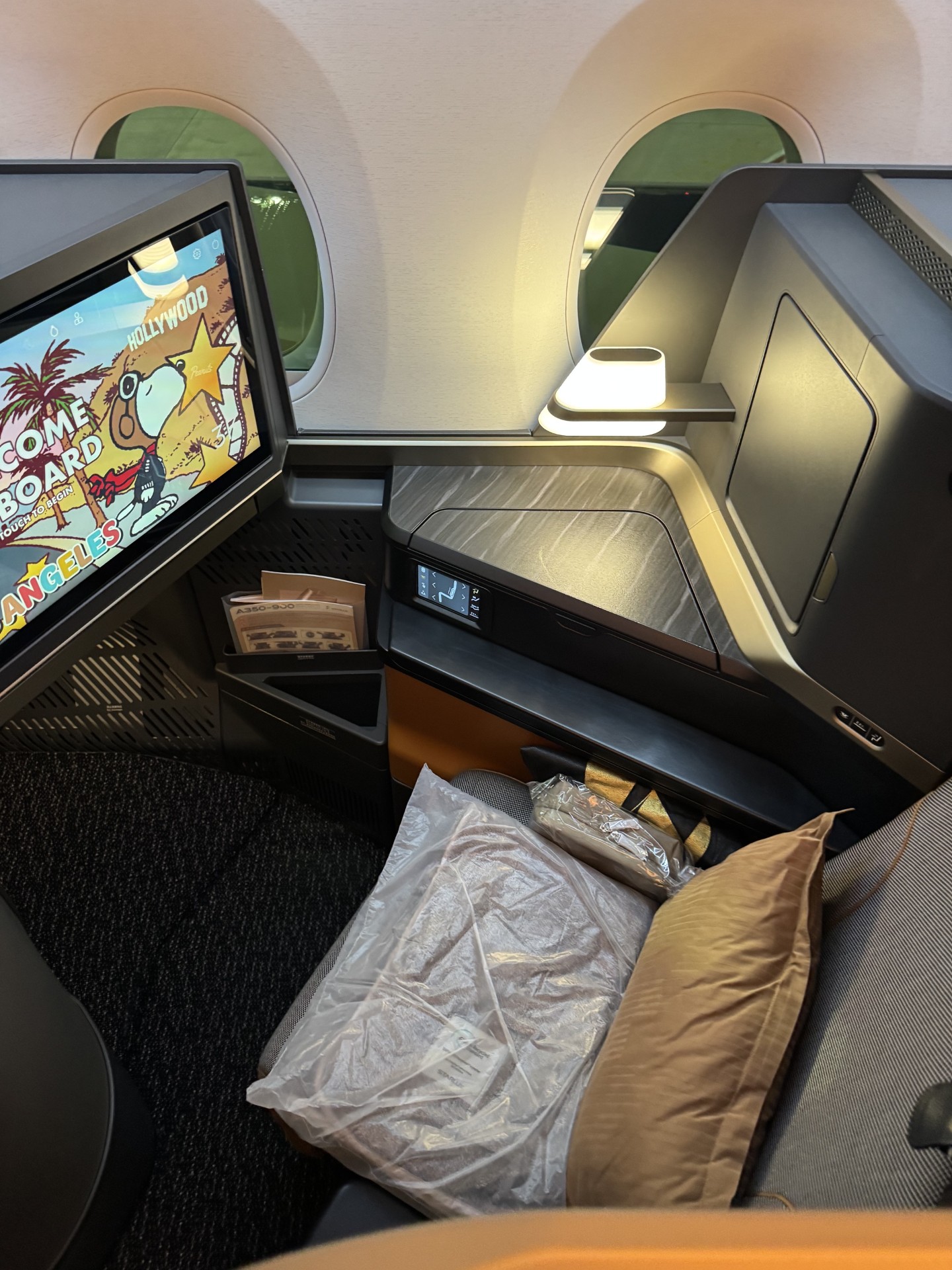 Should I Pay To Upgrade My Flight?