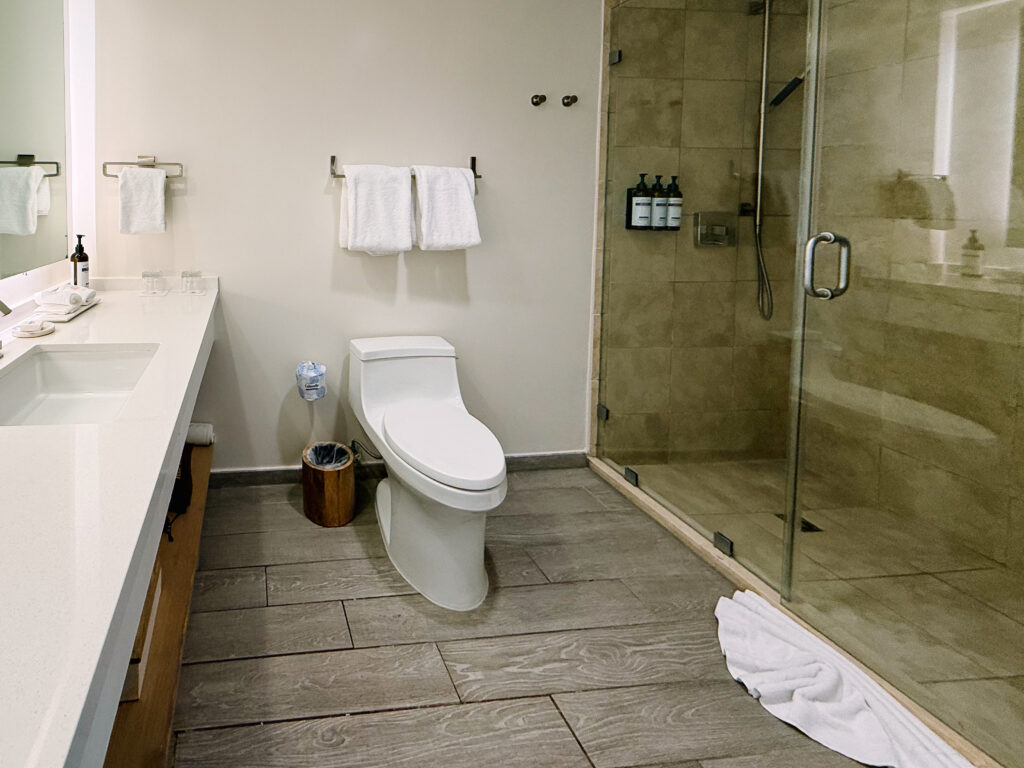 Hyatt Regency Aruba Quick Thoughts