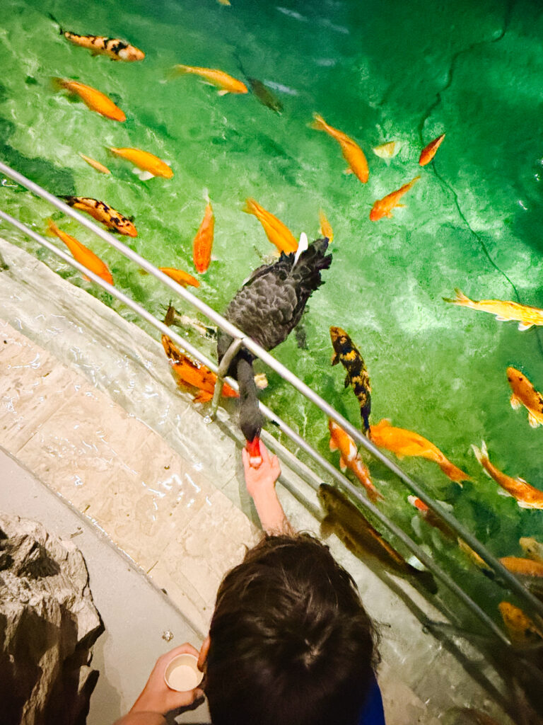 Hyatt Regency Aruba Quick Thoughts
