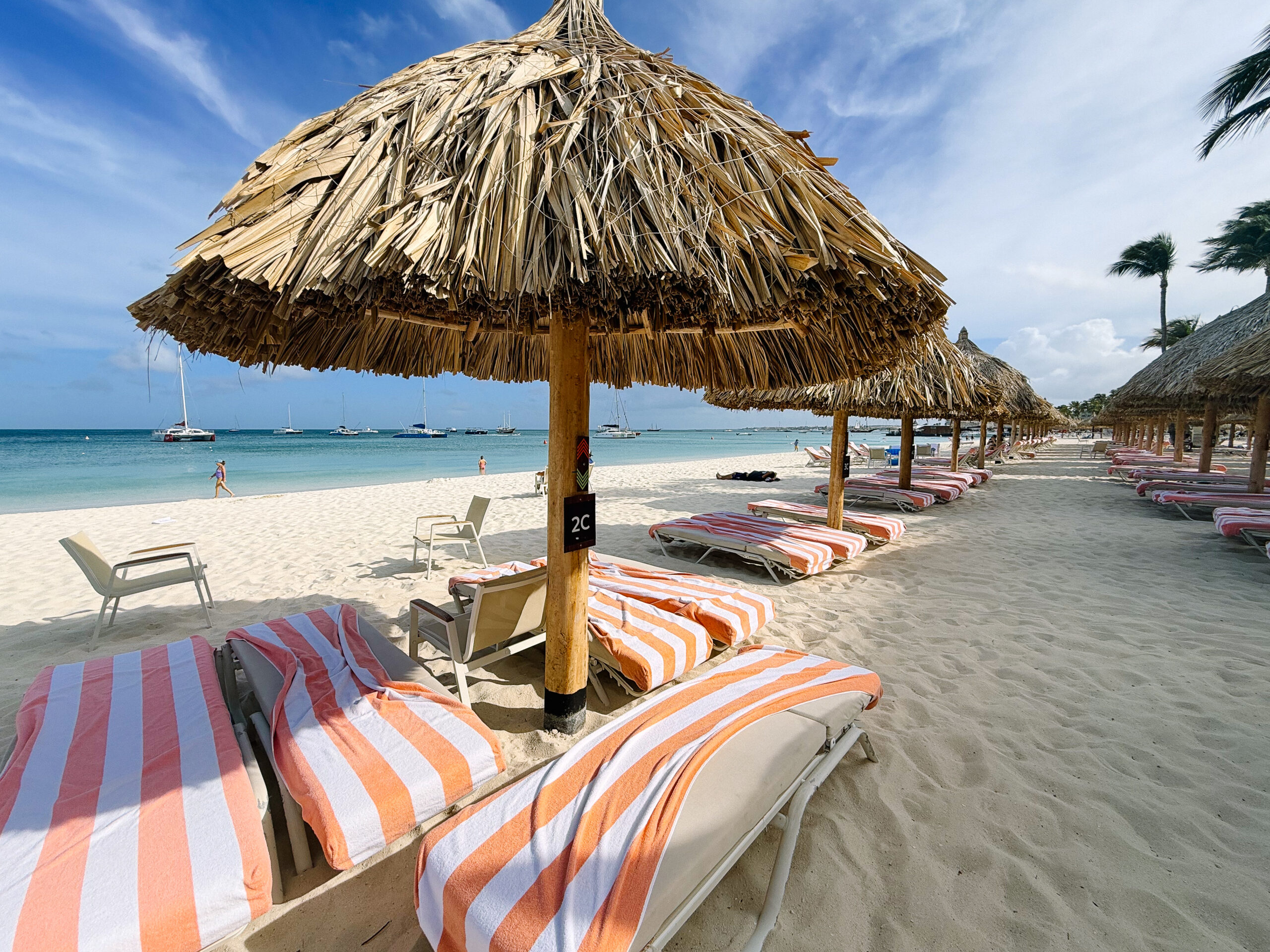 Hyatts in Aruba