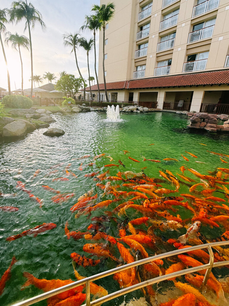 Hyatt Regency Aruba Quick Thoughts