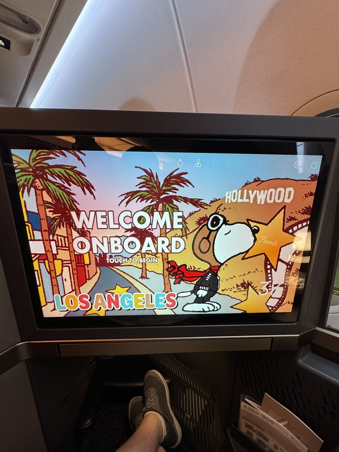 Should I Pay To Upgrade My Flight?