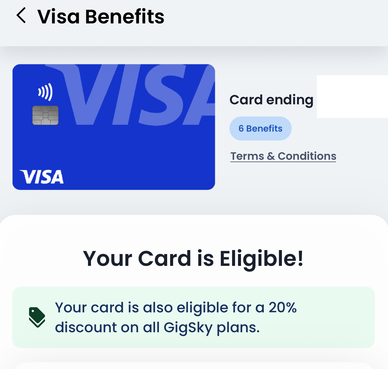 GigSky Visa Benefit