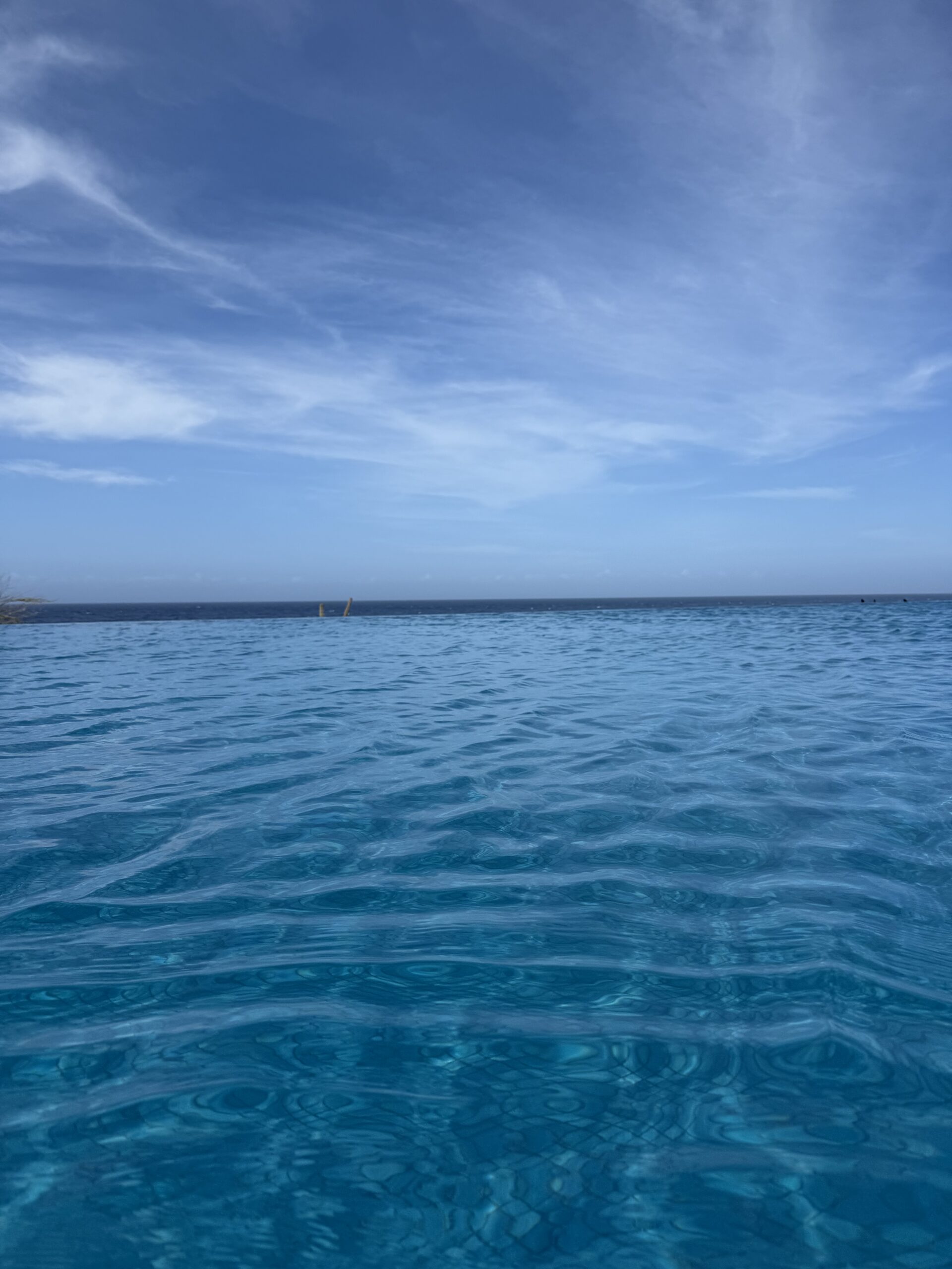 Hyatts in Aruba