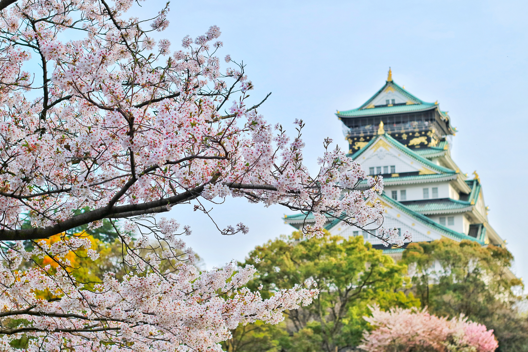 Japan Trip Delay and Cancellation Claim