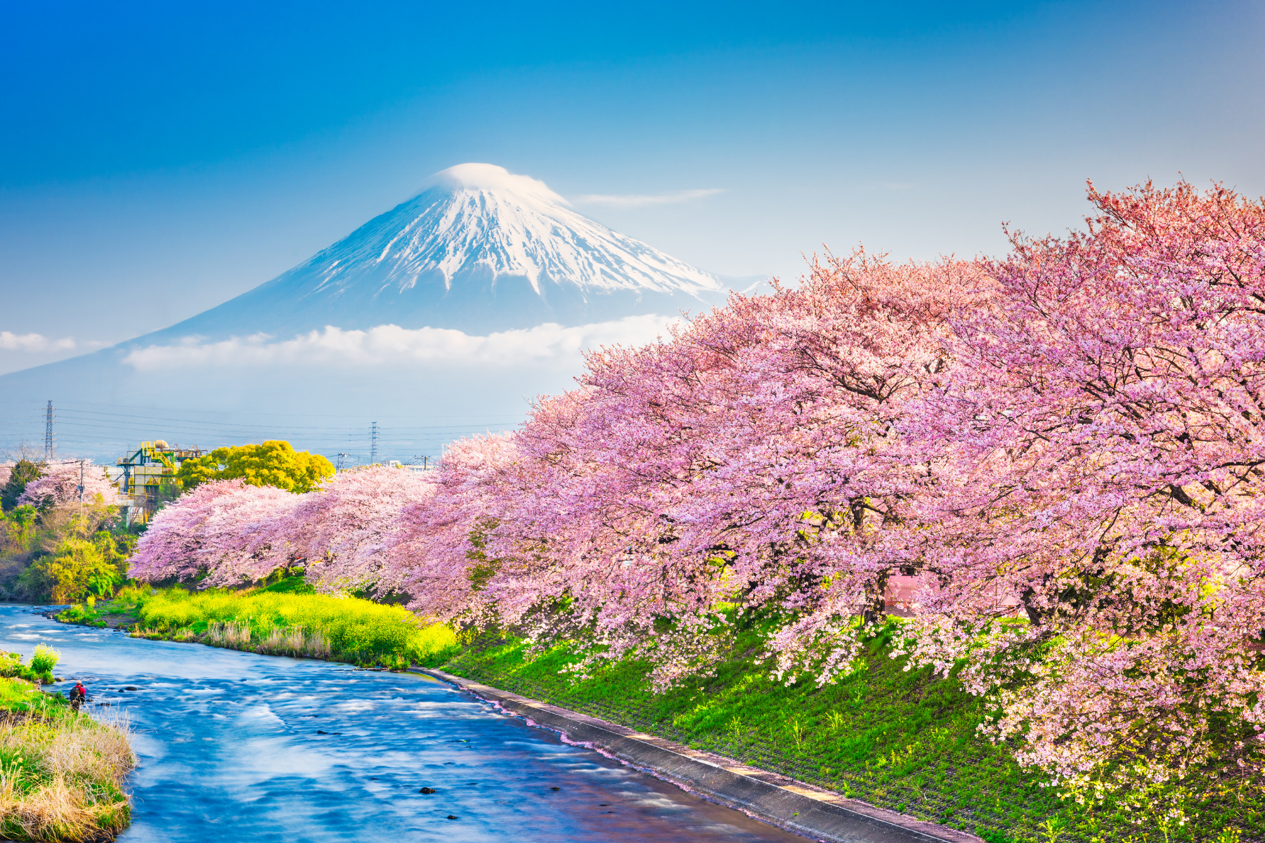 Japan Trip Delay and Cancellation Claim