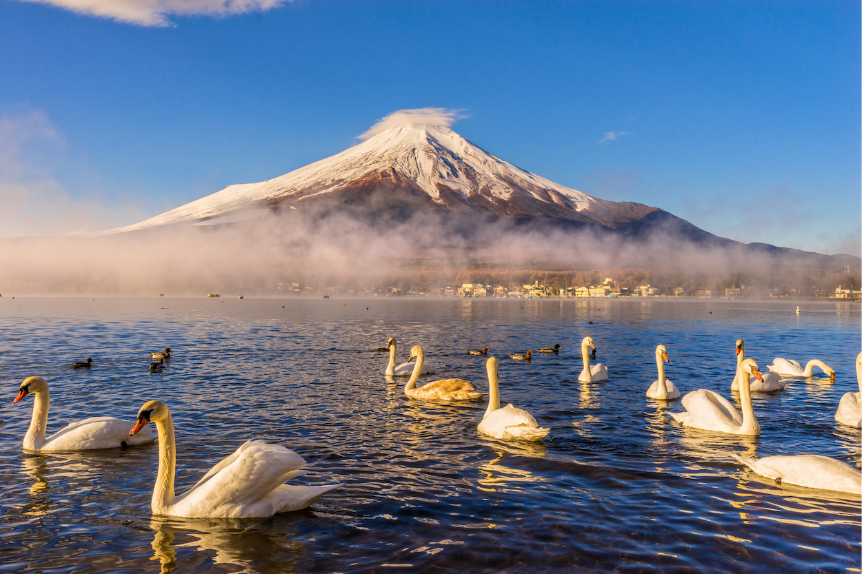 Citi Adds Japan Airlines