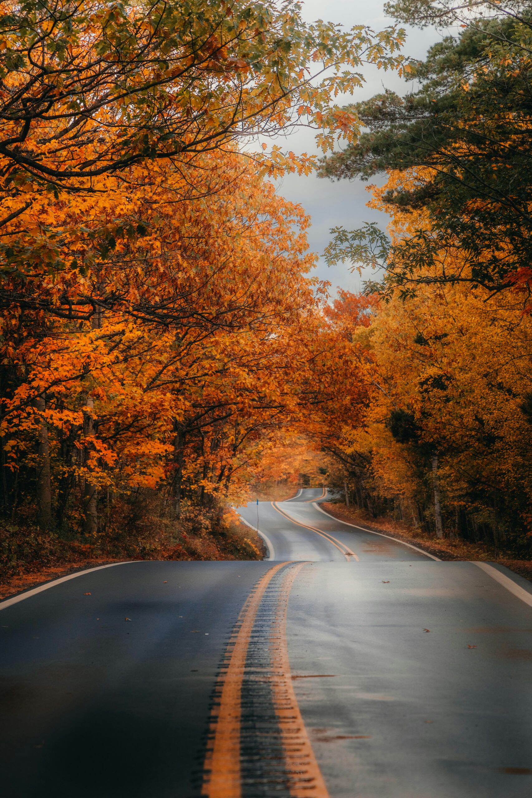 best places to see fall foliage in the U.S.