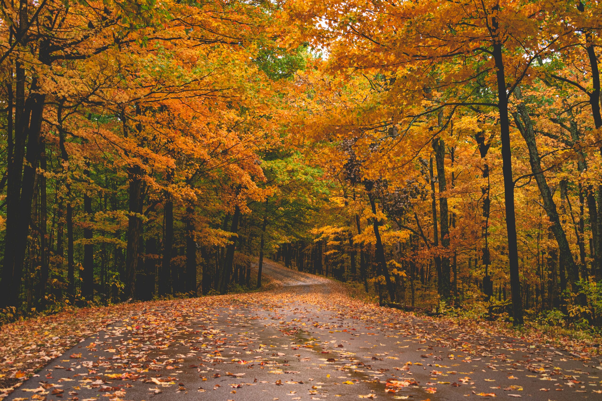 best places to see fall foliage in the U.S.